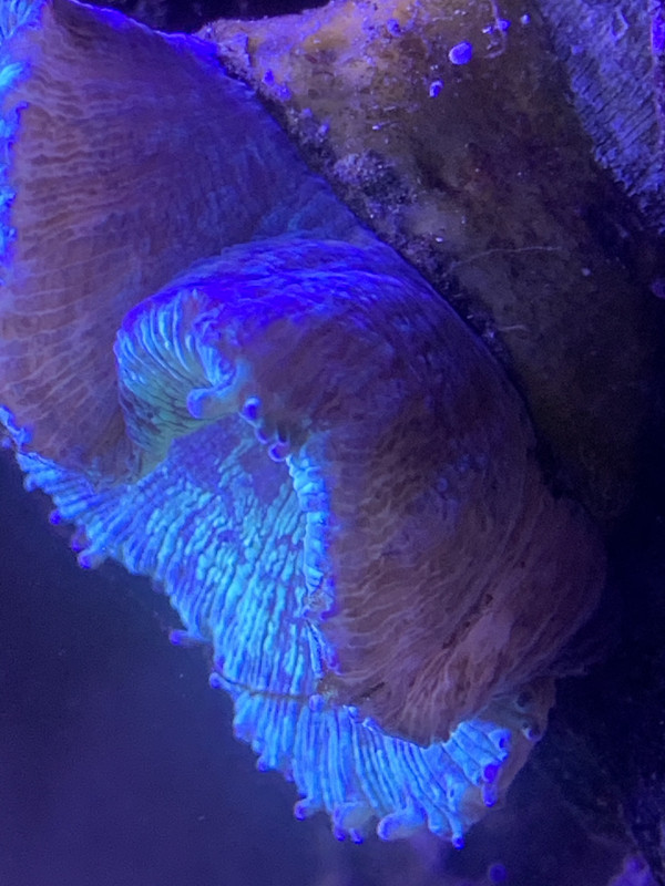 FF96E1A6-49A4-46D2-90D5-113CAE61F44F