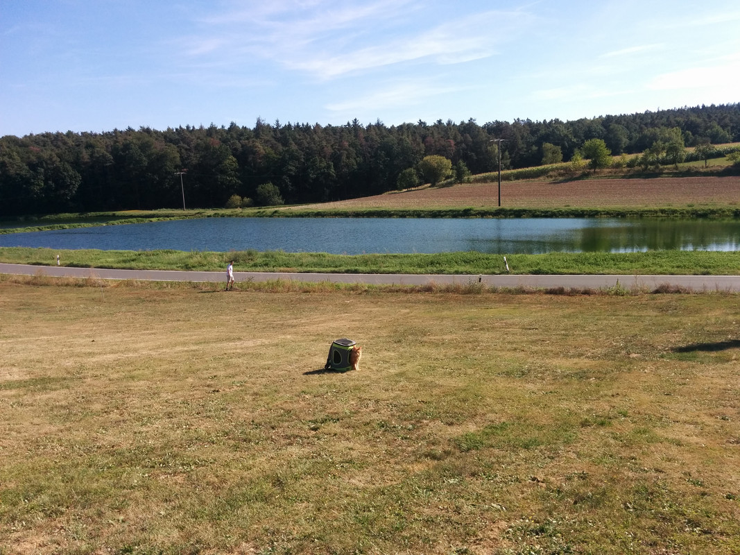 30 Questions to Ask Before Buying Land in Germany as a Foreigner