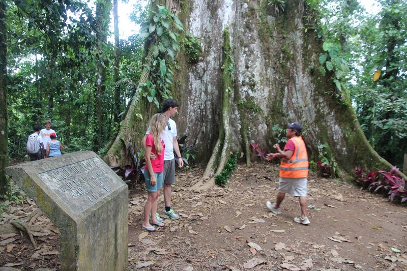 DIA 10: RIO CELESTE - DE TORTUGAS Y PEREZOSOS. COSTA RICA 2019 (46)