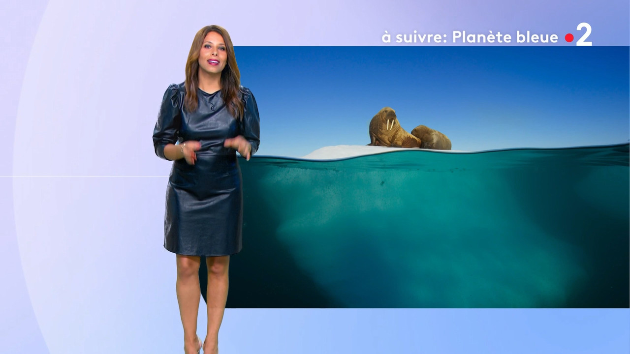 2021-07-11_20_55_Fr2_Meteo.mp4_snapshot_07.42.863