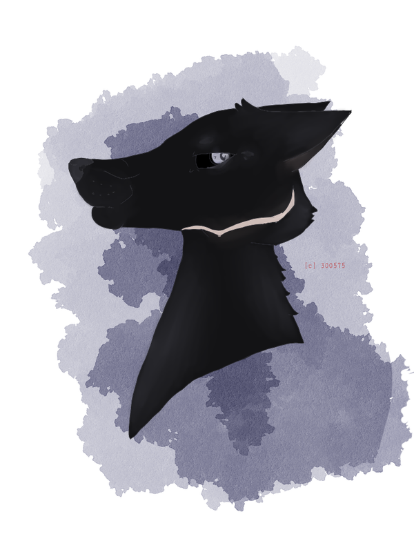 https://i.postimg.cc/sgRPRQB1/Illustration139.png