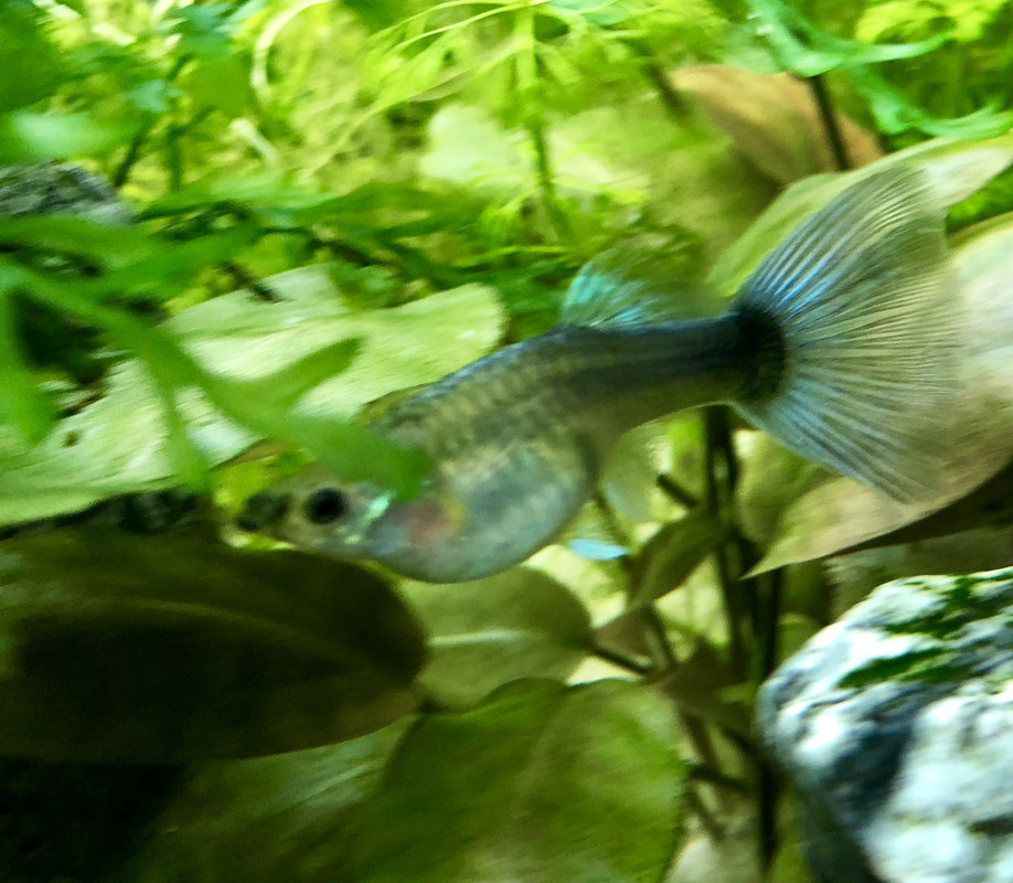 C87F450C-8F1B-4F1D-A9F4-2E9ED9075B44