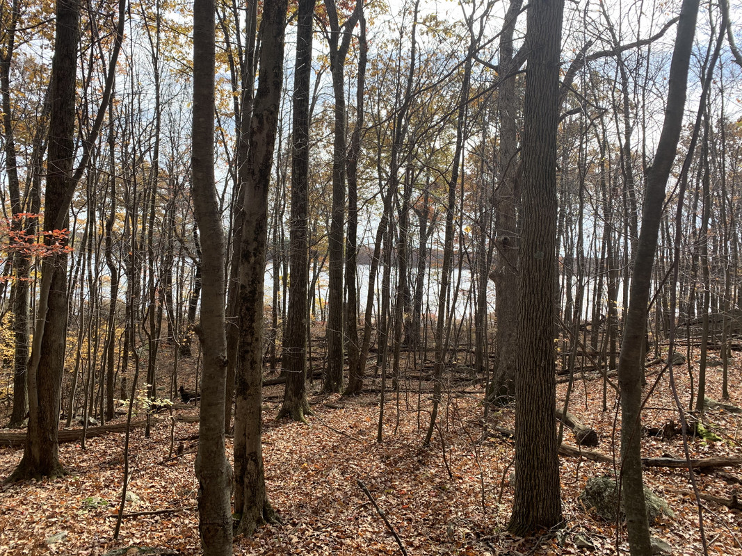 864A661E-A23A-4926-9386-C21DB1D6086C