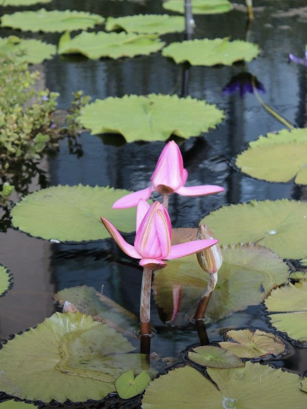 8876F2C8-3565-4893-BBAF-C669723941F4