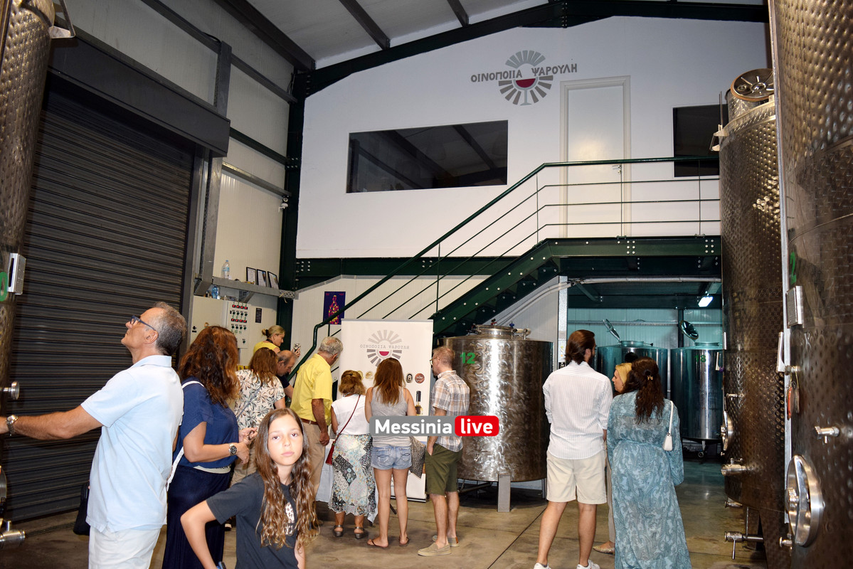 psaroulis 10DSC_1519