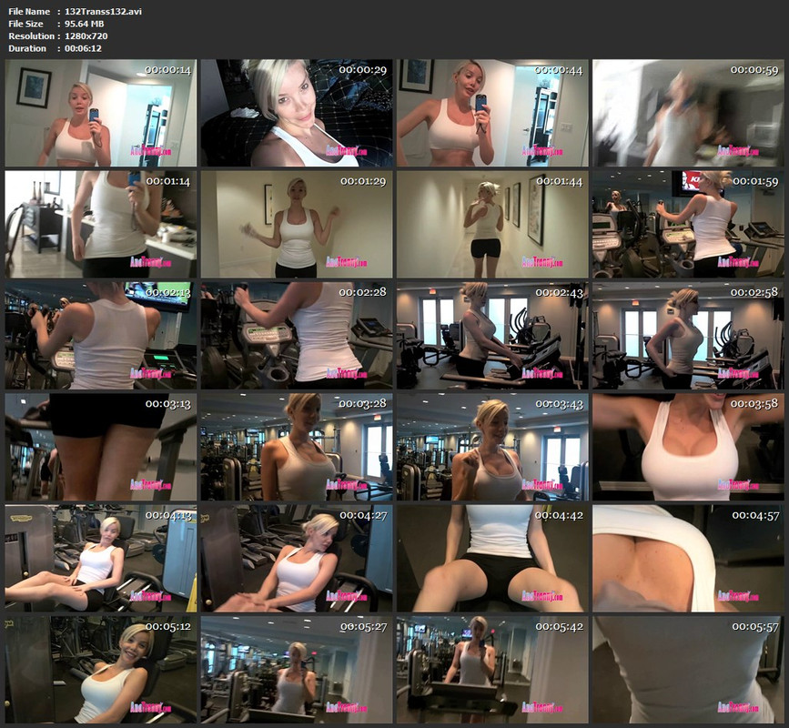 132Transs132.avi