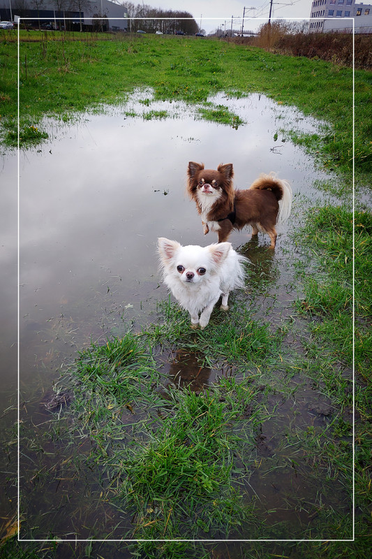 Lumii_20201222_145630649