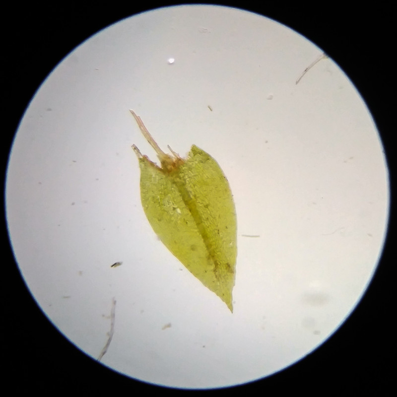 IMG 20250617 114903 HDR