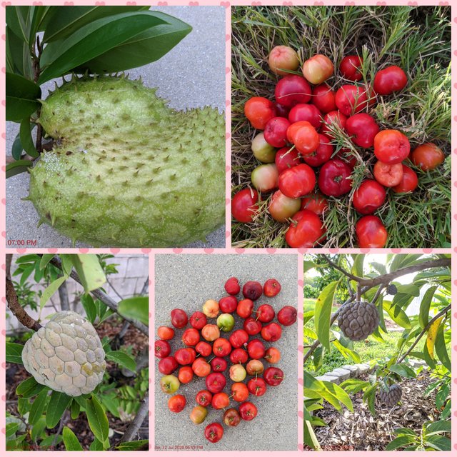 [Image: Photo-Grid-1594597738610.jpg]