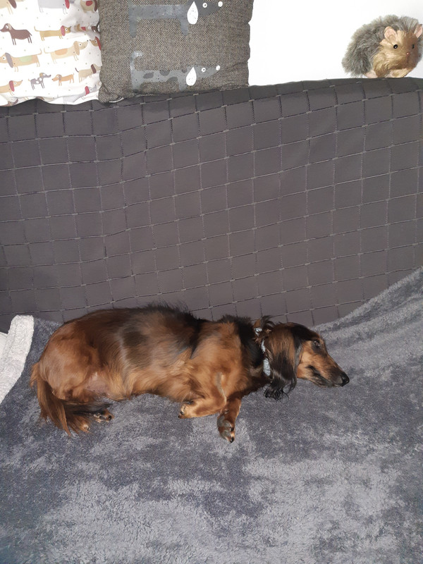 [Image: 20200721-162123.jpg]