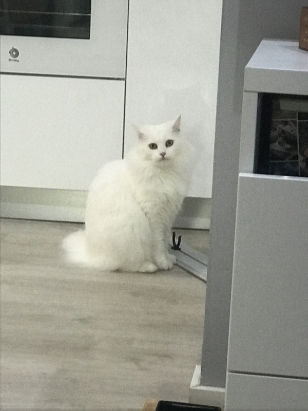 6EF78111-6BF3-4554-B588-B416545D928A