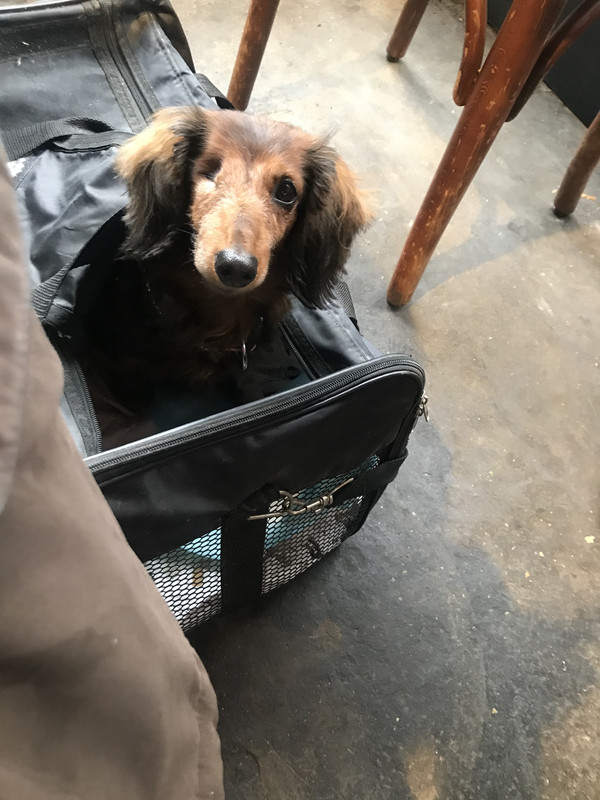 [Image: B3-BB33-DC-E731-4-F3-E-A4-E9-83-A54-F5-A2-BE6.jpg]