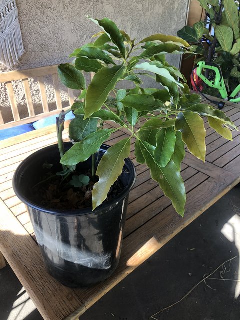 B160834F-BEB6-453A-9454-5A2F66145C22