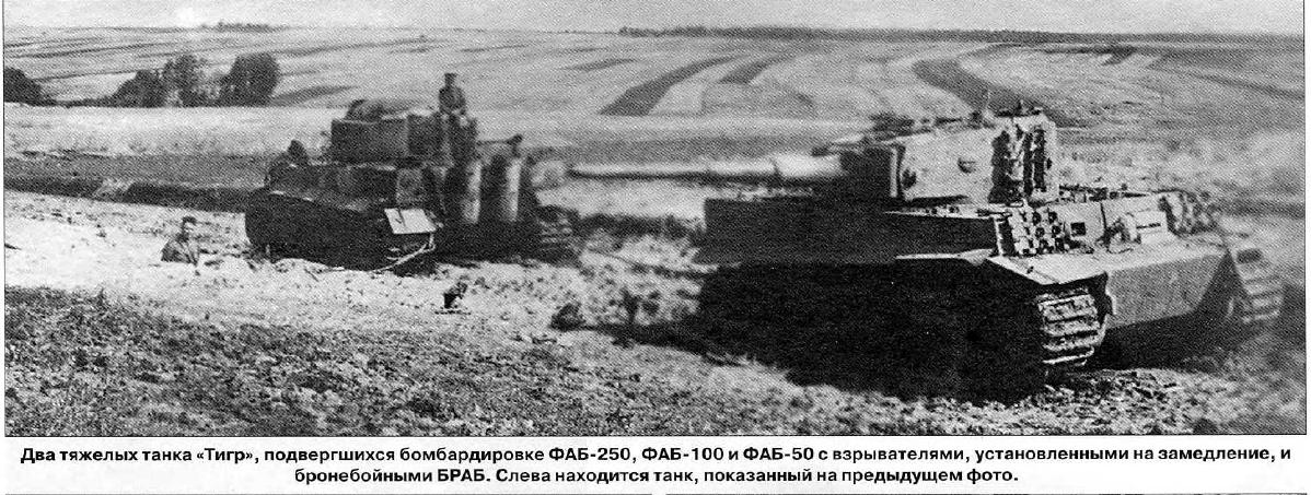 нем тигр 211214_3