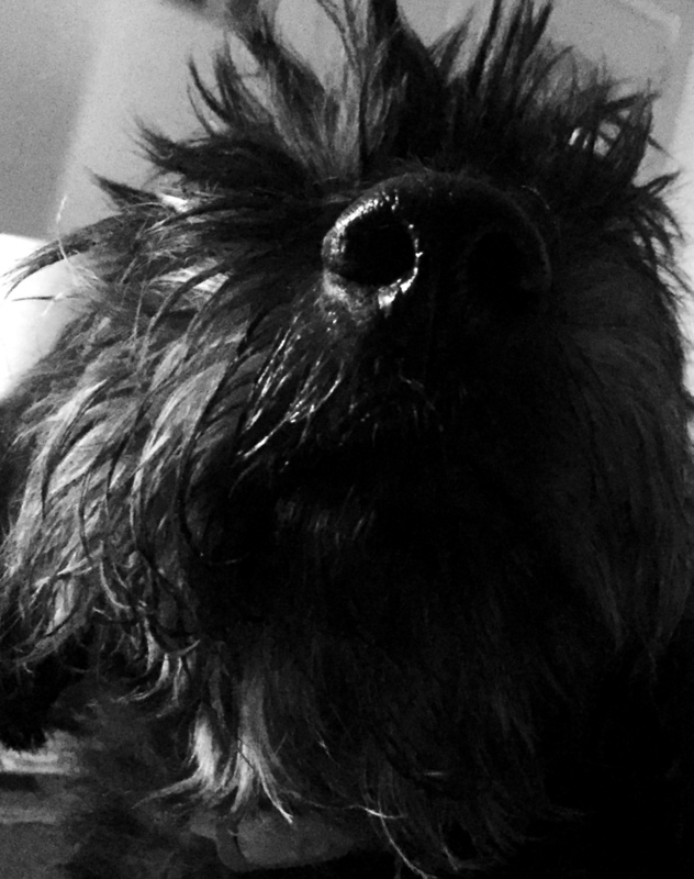 [Image: IMG-2777.jpg]