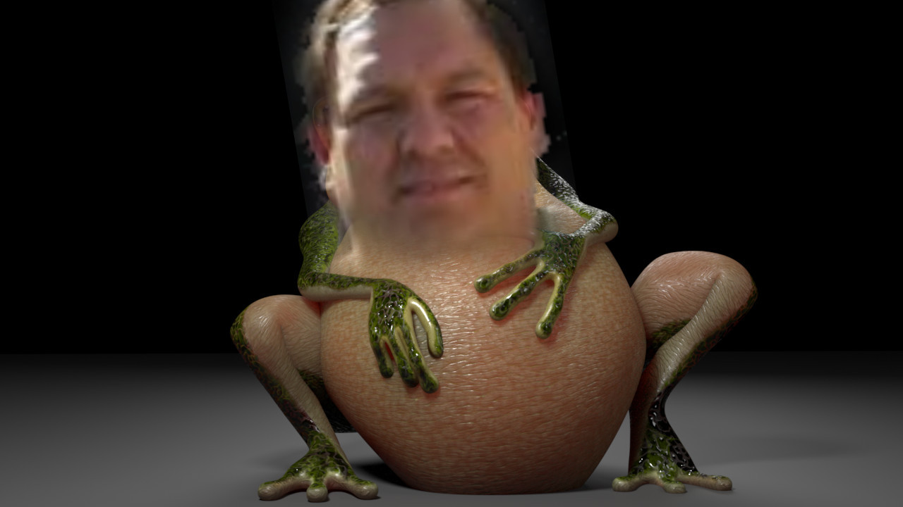 roman-zhuk-frog-b.jpg