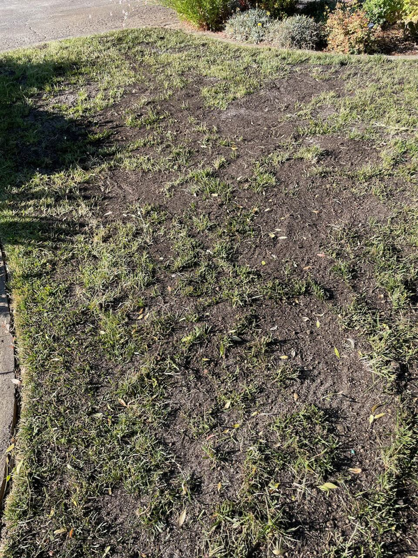 top-dressing-2-postimages