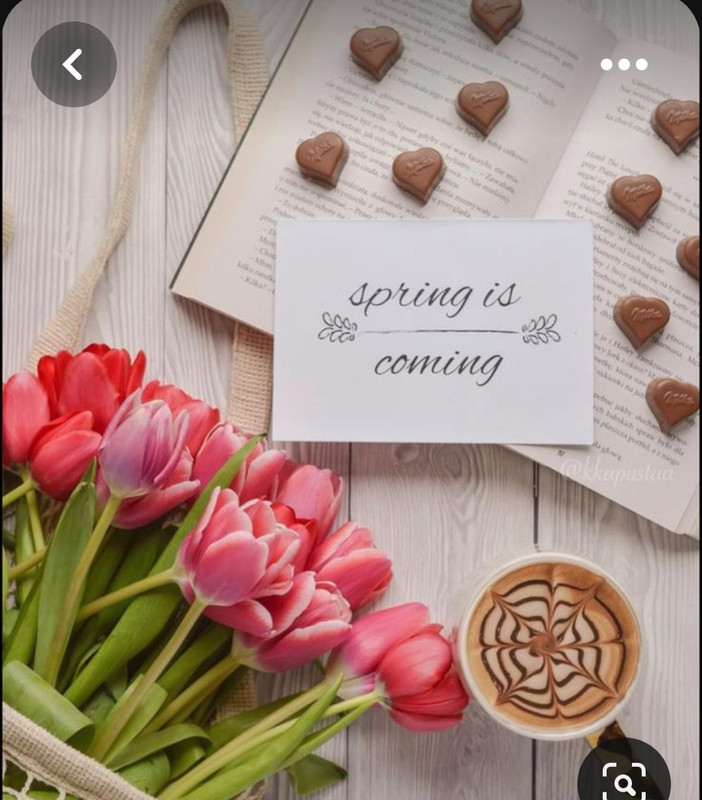 Screenshot_20230603_223042_Pinterest