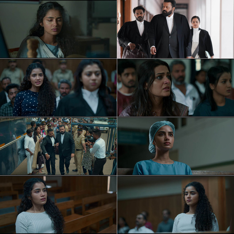 J.S.K - Janaki V v/s State of Kerala (2025) Dual Audio [Hindi & Malayalam] Full Movie HD ESub screenshot