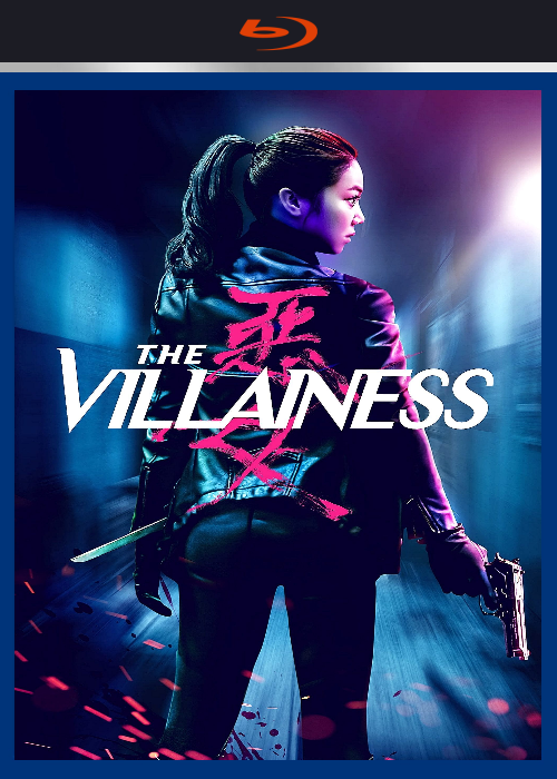 The-Villainess-2017.png