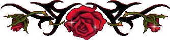 9175955o1-Pq-N986.gif