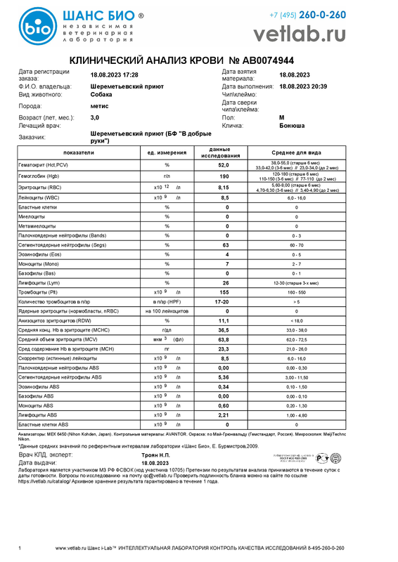 Клиническийанализкрови_Шереметьевский приют_AB0074944