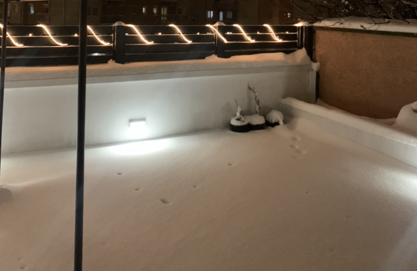 69EE0F63-C22C-447D-820B-9252976AE8E6