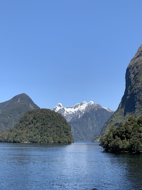 Nueva Zelanda: La primavera Kiwi nos fue marcando la ruta - Blogs de Nueva Zelanda - Queenstown-Manapouri (Doubtful Sound)-TeAnau (2)
