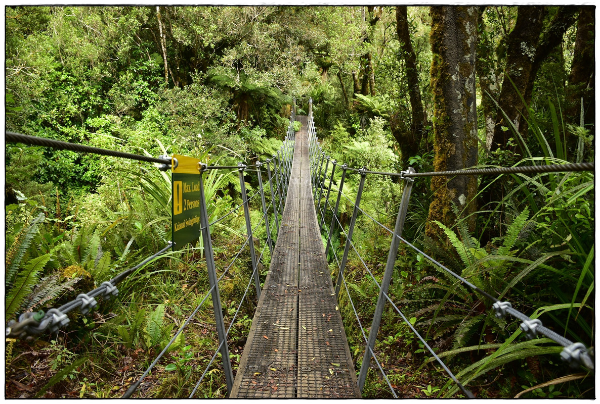 Escapadas y rutas por la Nueva Zelanda menos conocida - Blogs de Nueva Zelanda - Egmont / Taranaki NP: Pouakai Circuit (marzo 2021) (30)