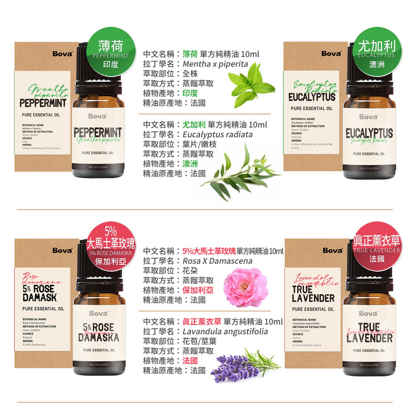 花香調 精油 真正薰衣草 玫瑰天竺葵 5%大馬士革玫瑰 羅馬洋甘菊 - 香薰/精油/線香 - 精油 橘色