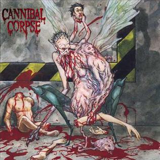 Re: Cannibal Corpse (US) / Death metal