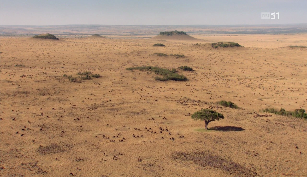 vlcsnap-2016-12-12-12h03m26s347