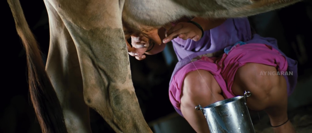 vlcsnap-2022-10-23-18h20m30s405