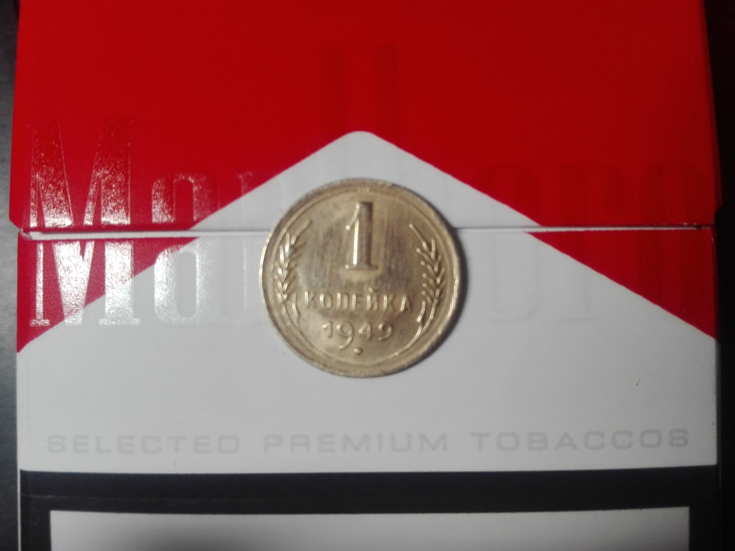 IMG_20190310_182551 (1)