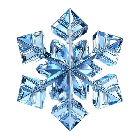 winterdingin.online favicon