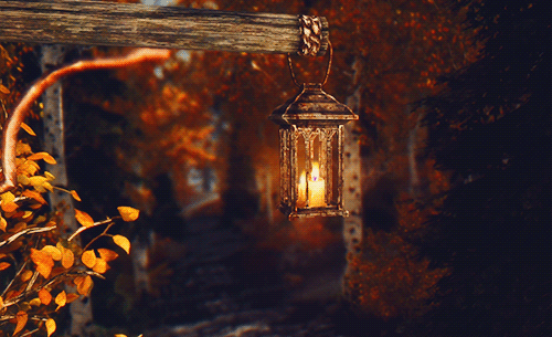 download-42.gif