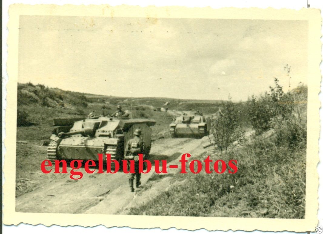 PANZER - STURMGESCHÜTZ - TARNUNG   LANGROHR - SE