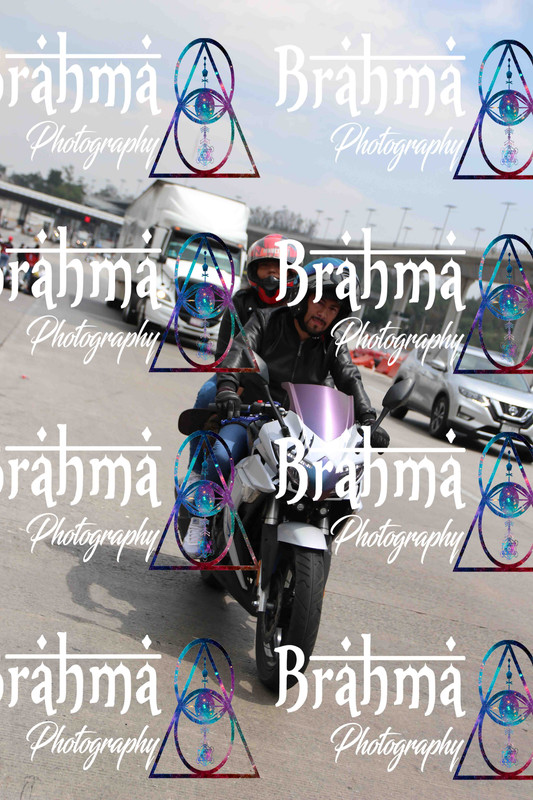 IMG 3940 — Postimages