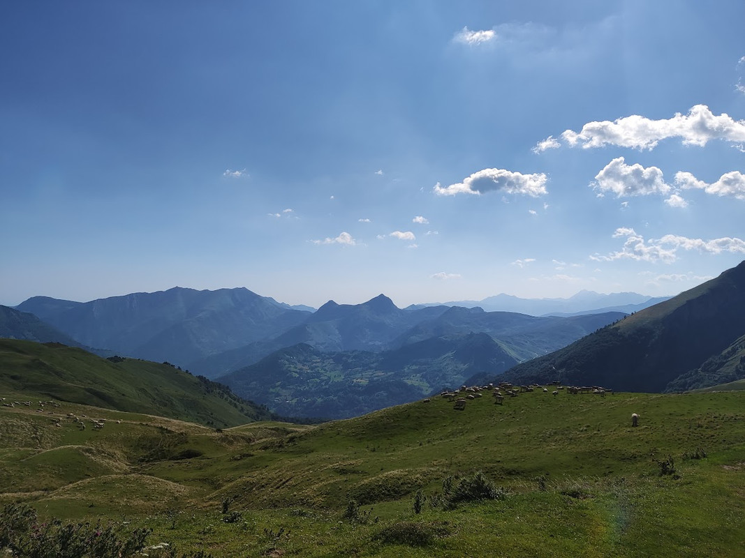 07IMG_20230729_102455