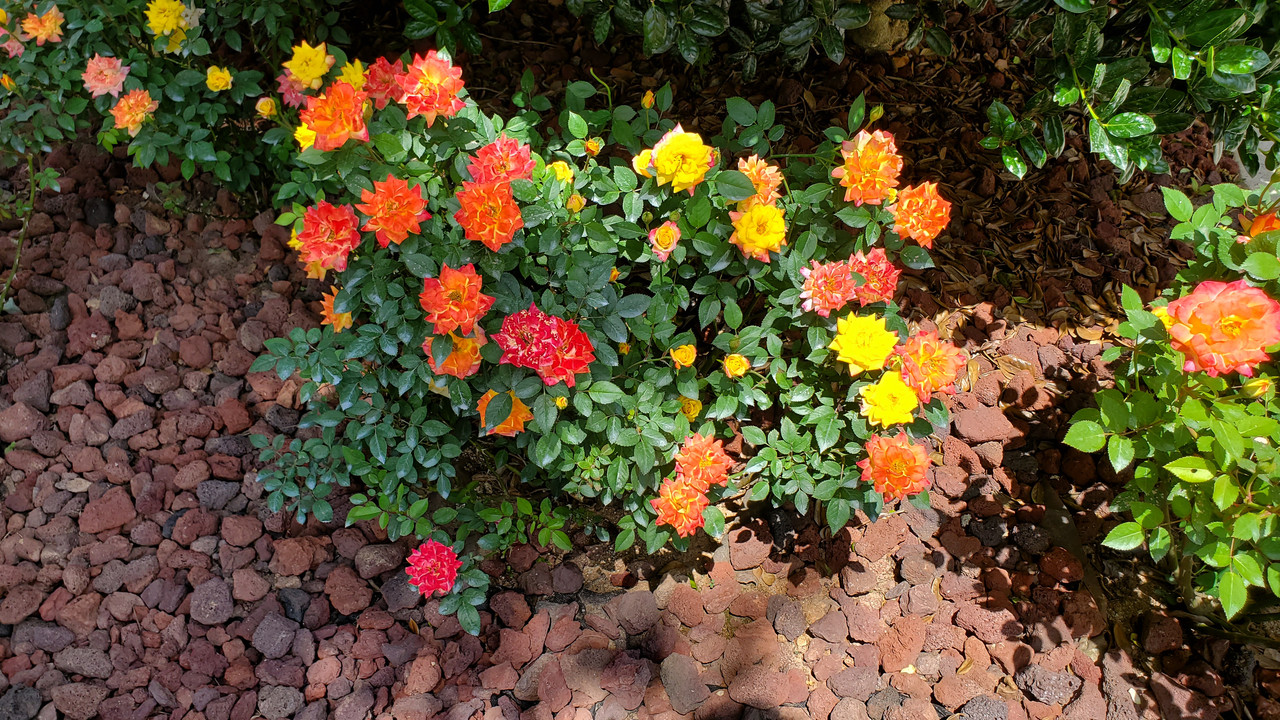 [Image: 20190520-120015.jpg]