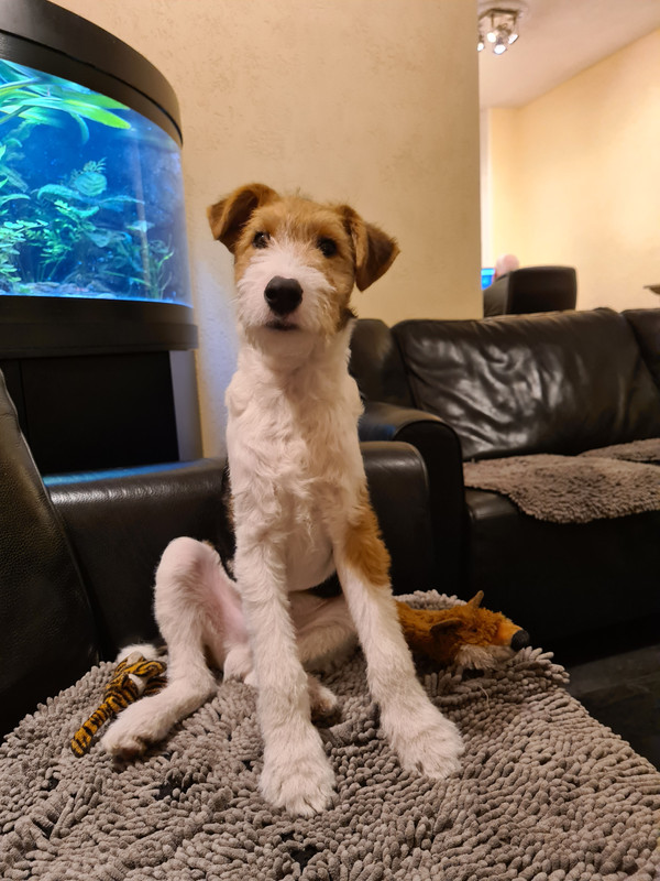 A5C94ABF-7D3A-4D8A-AEEC-4D169943A7C8