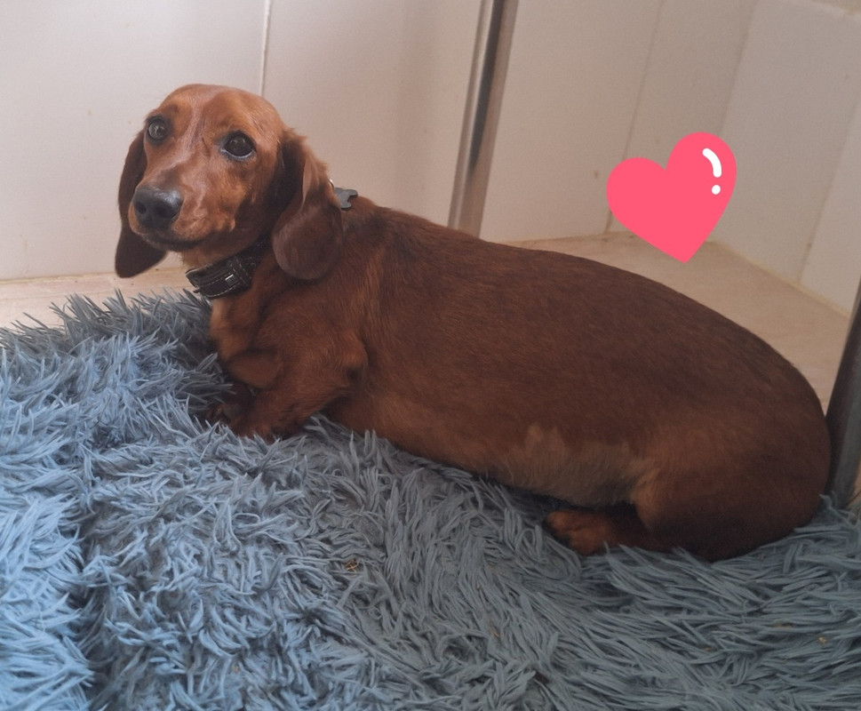 [Image: 20250504-172112.jpg]