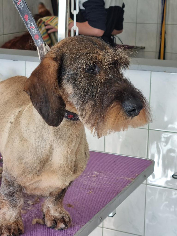 [Image: image000001-71.jpg]