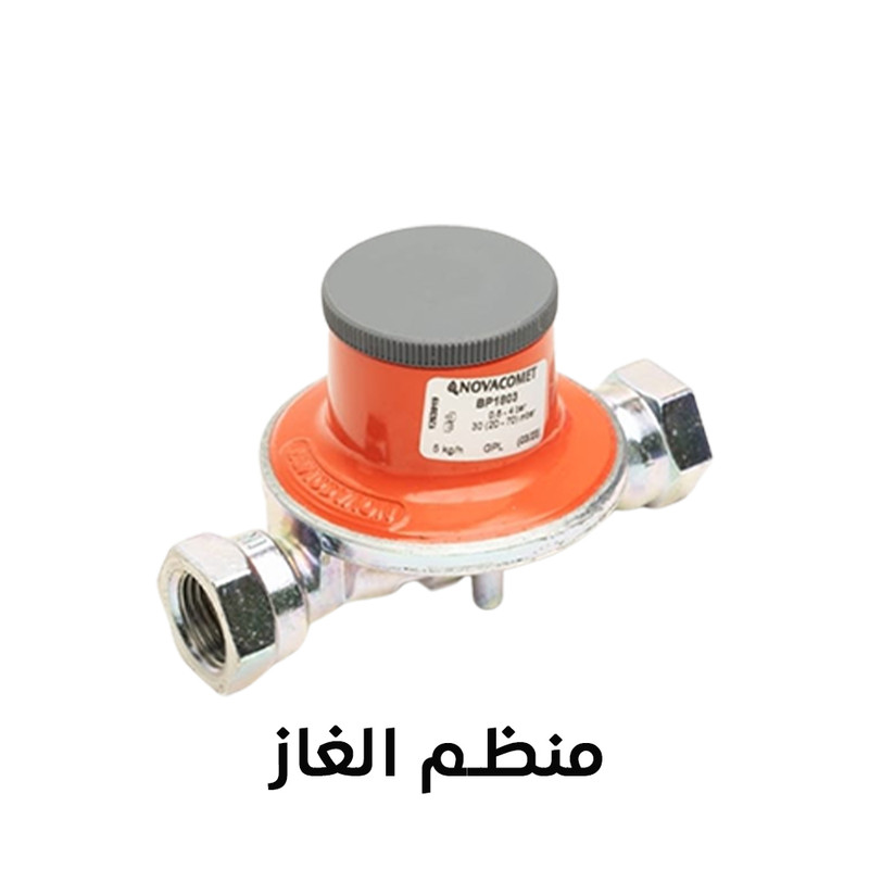 Gas Regulator
