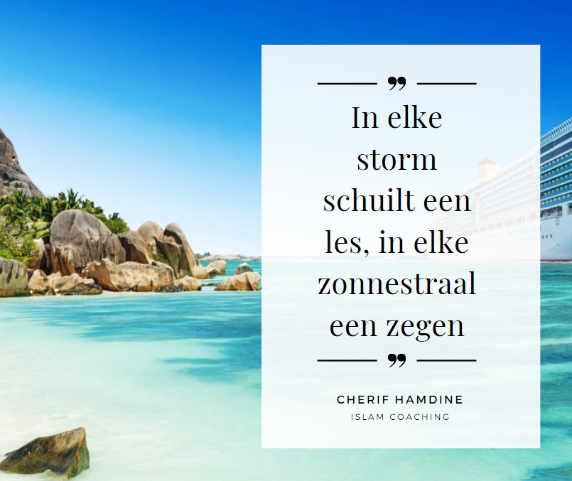 Schermopname-22-2-2025-9146-www-canva-com