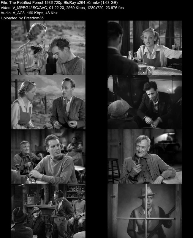 The-Petrified-Forest-1936-720p-Blu-Ray-x