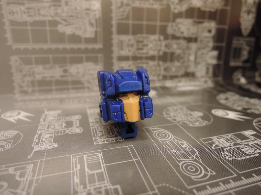 13329599_272135063136928_7605045897236688725_o