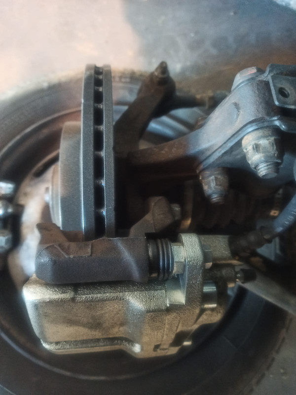 Imagen de WhatsApp 2024-02-10 a las 20.22.17_fec7c735