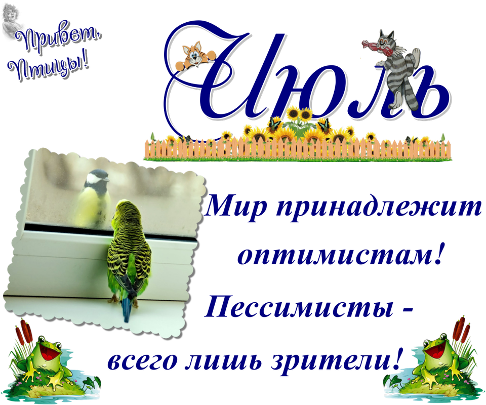 https://i.postimg.cc/sgZ2qdxC/10-07.png