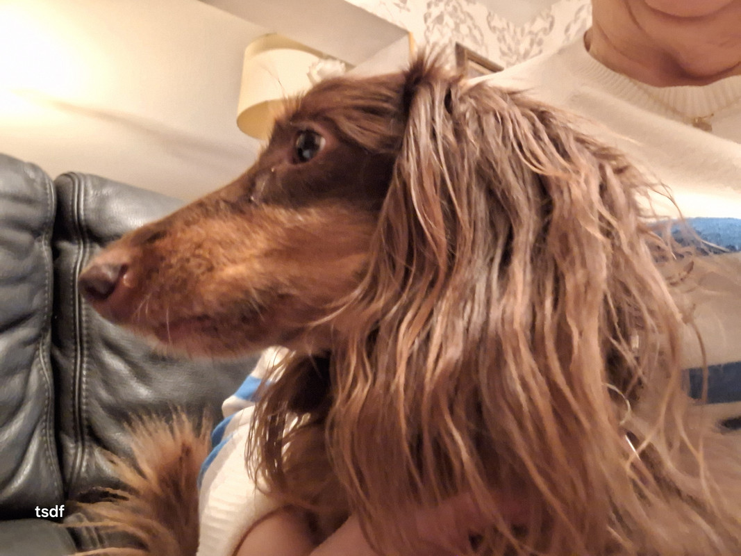 [Image: 20250106-173734.jpg]